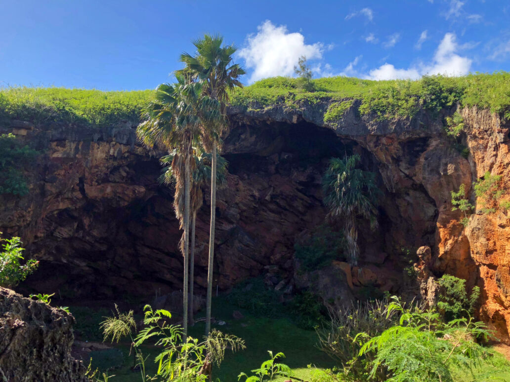 Inner,Sanctum,Of,Makauwahi,Cave,Reserve,On,Kauai,,Hawaii