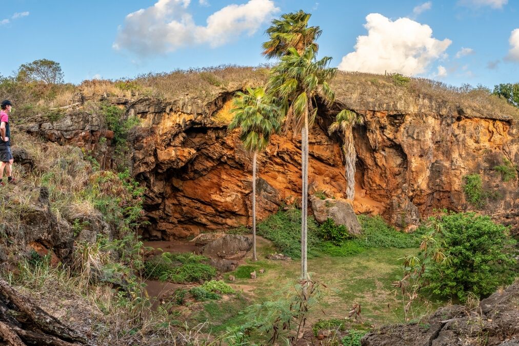 A visitor standing on the edge of a cliff looking into a gully, cave, hole in the ground with coconut trees and archaeological marking, Makauwahi Cave Reserve, Kauai, Hawaii