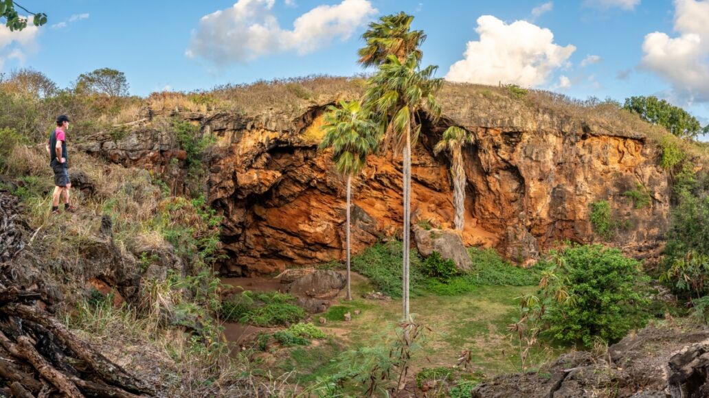 A visitor standing on the edge of a cliff looking into a gully, cave, hole in the ground with coconut trees and archaeological marking, Makauwahi Cave Reserve, Kauai, Hawaii