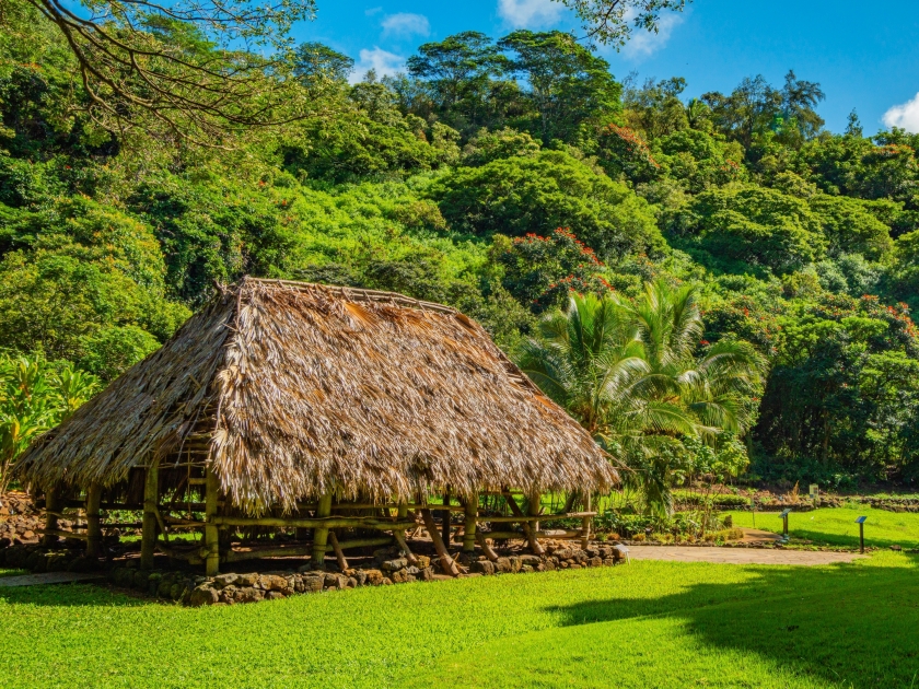 Fairy forest with wooden house. Beautiful tropical park. Amazing green forest. McBryde garden Kauai, Hawaii