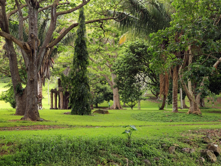 Lush green park landscape with grass and trees.