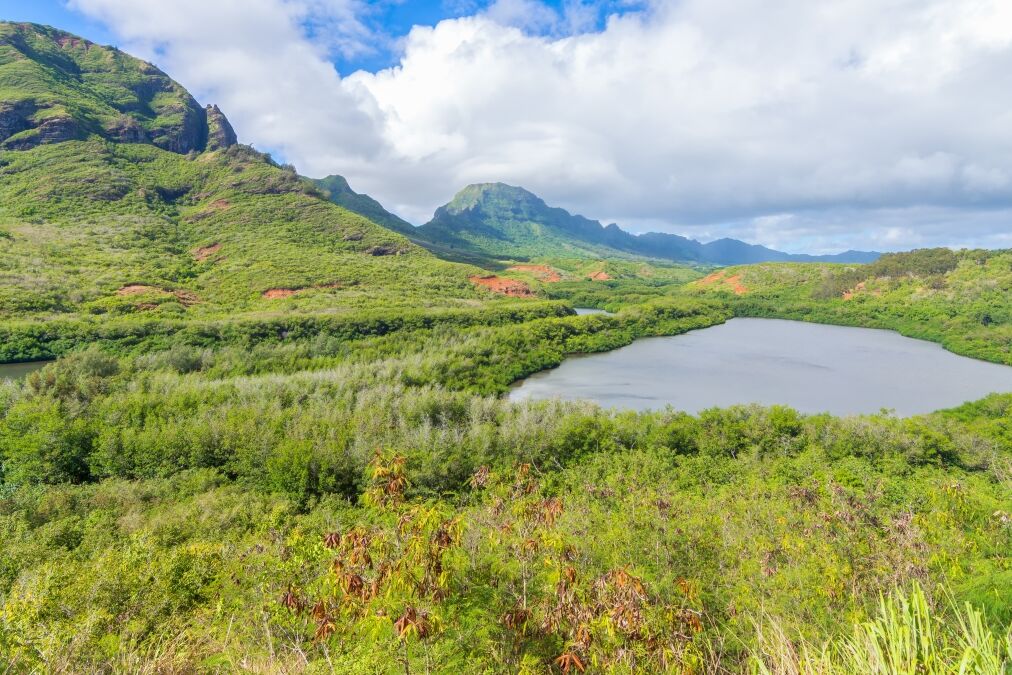 Historic Hawaiian Menehune Fishpond Overlook, Kauai island, Hawaii