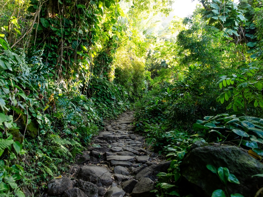 Kalalau Trail, a trail along Nā Pali Coast of the island of Kauai in the state of Hawaii. The trail runs approximately 11 miles along the island's north shore from Keʻe Beach to the Kalalau Valley