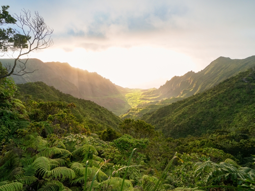 Kalalau Valley from Pihea Trail