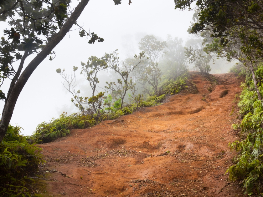 Pihea Trail