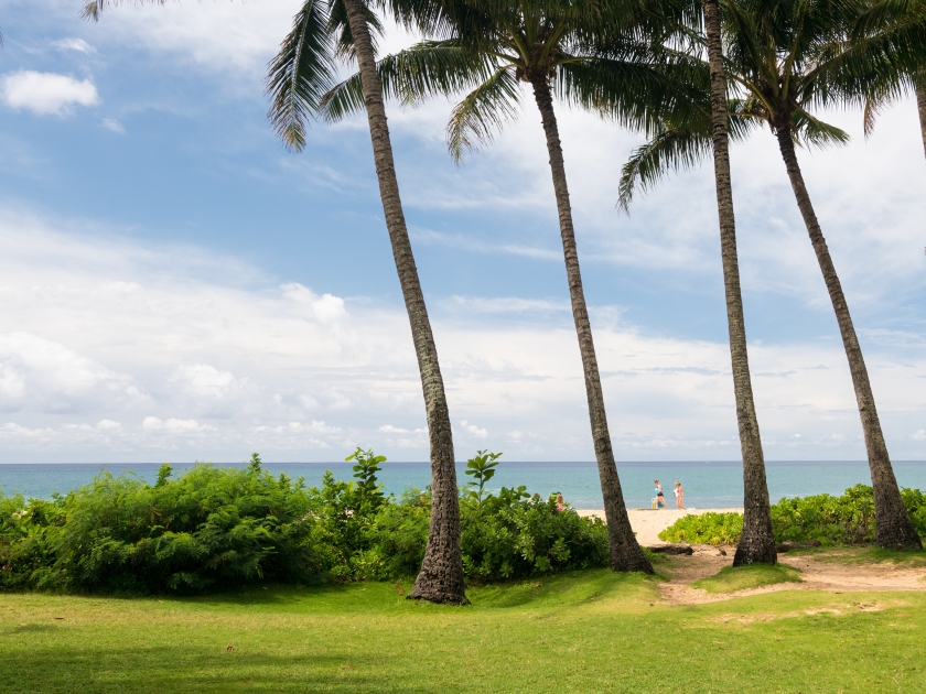 Palm trees frame the ocean near Poipu in Kauai