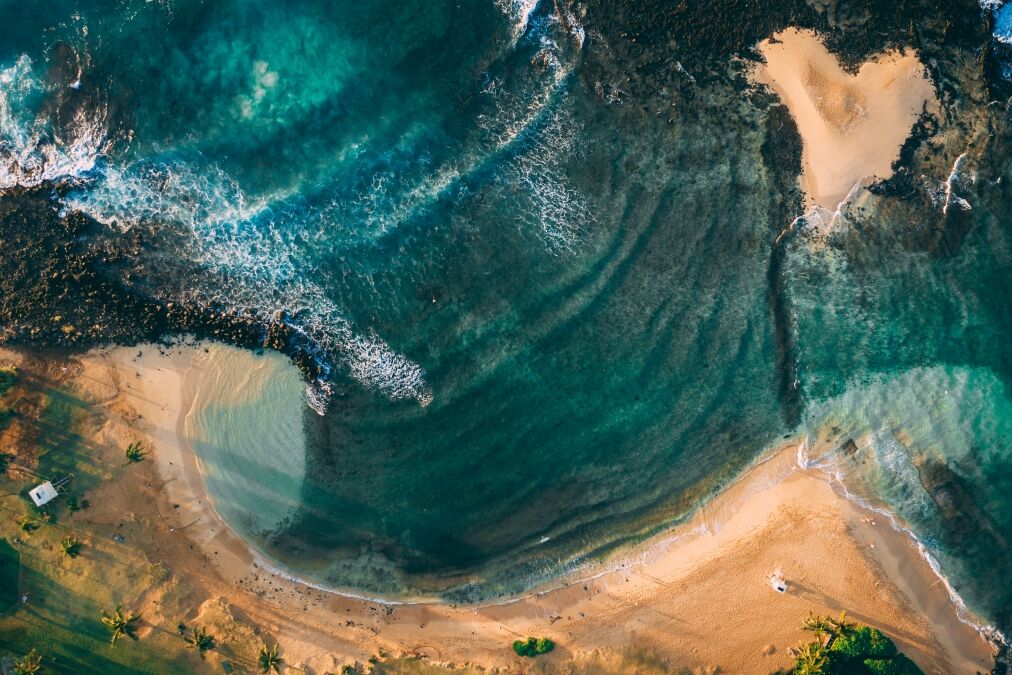 Poipu Hawaii Beach Park aerial overhead drone shot. Morning light, turquoise water, palm trees, rolling waves, lifeguard tower and sleeping turtle on the shoreline