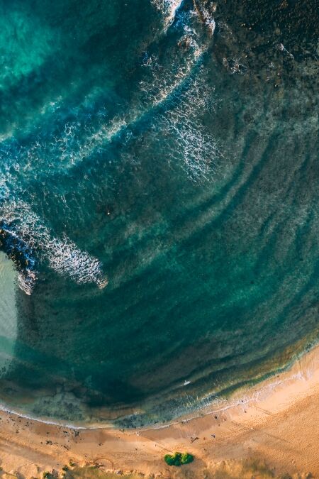 Poipu Hawaii Beach Park aerial overhead drone shot. Morning light, turquoise water, palm trees, rolling waves, lifeguard tower and sleeping turtle on the shoreline