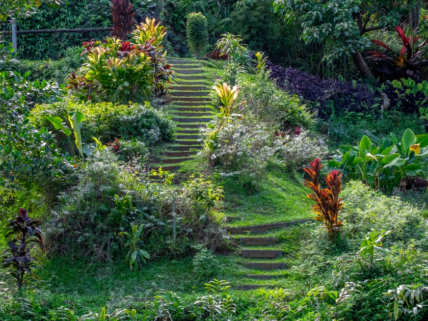 Princeville Botanical Garden, Princeville, Kauai, Hawaii