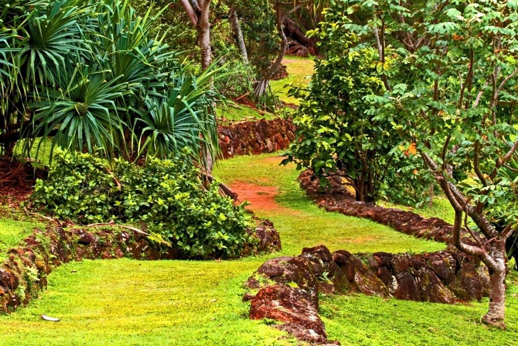 Tropical island pathway lined with volcanic rocks leads uphill