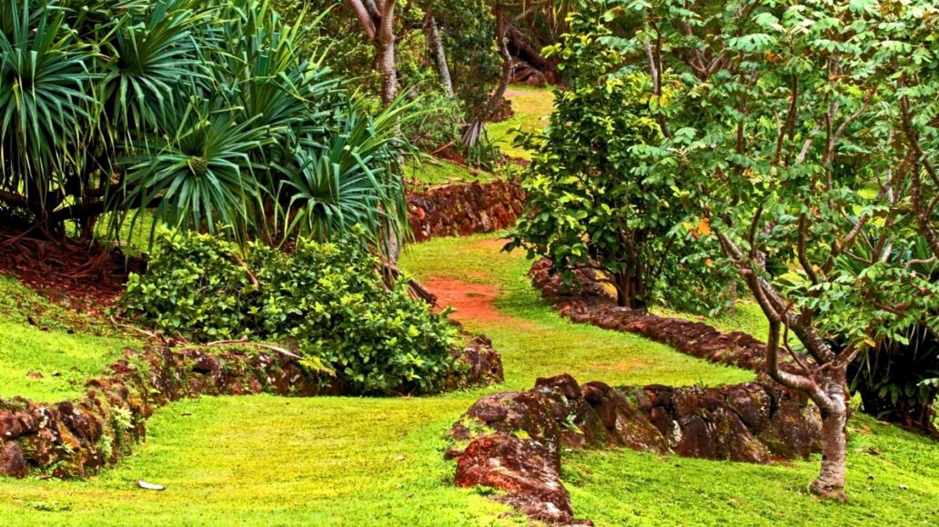 Tropical island pathway lined with volcanic rocks leads uphill