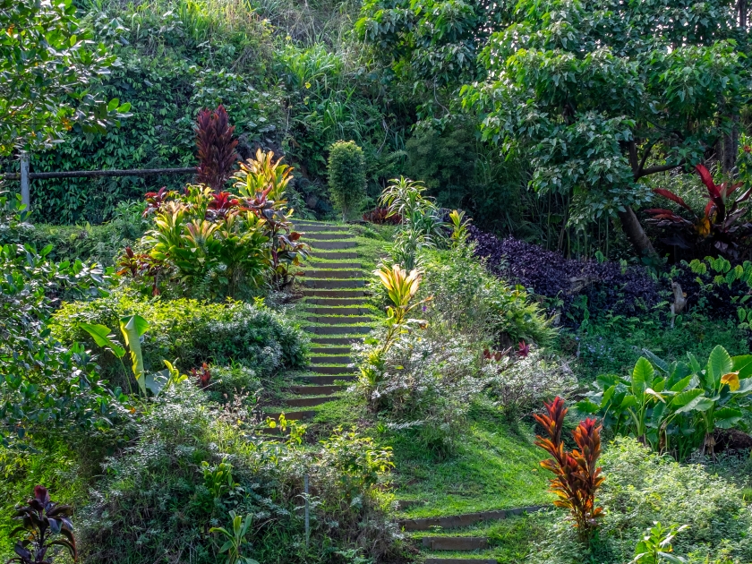 Princeville Botanical Garden, Princeville, Kauai, Hawaii