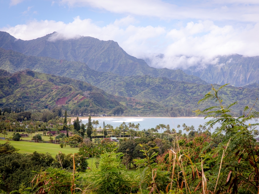 Aerial view of Hanelei Bay and beach with Napali Coast in the background, palms Hanalei town on a sunny day, North Shore of Kauai, Hawaii