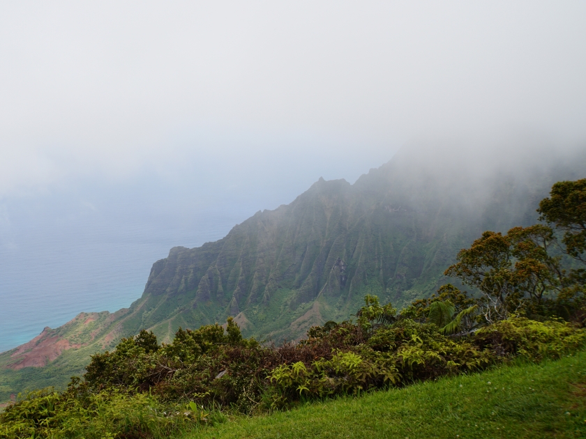 View from the Pu’u O Kila Lookout on Kauai, Hawaii, USA