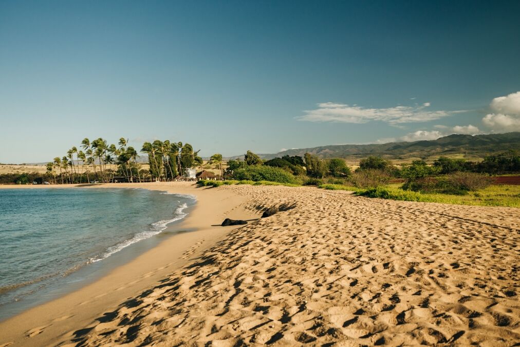 Salt Pond Beach Park, Kauai, hawaii - dec 2022. High quality photo