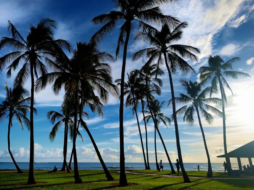 Sunrise with palm trees in Salt Pond Beach Park on Kauai, Hawaii