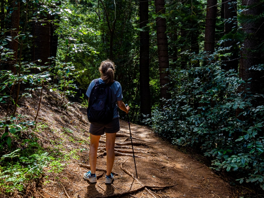 Female Hiker on The Sleeping Giant Trail, Kapa'a, Kauai, Hawaii, USA