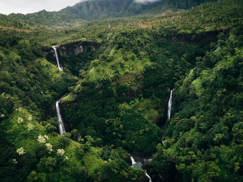 Mount Waialeale known as the wettest spot on Earth, Kauai, Hawaii. High quality photo