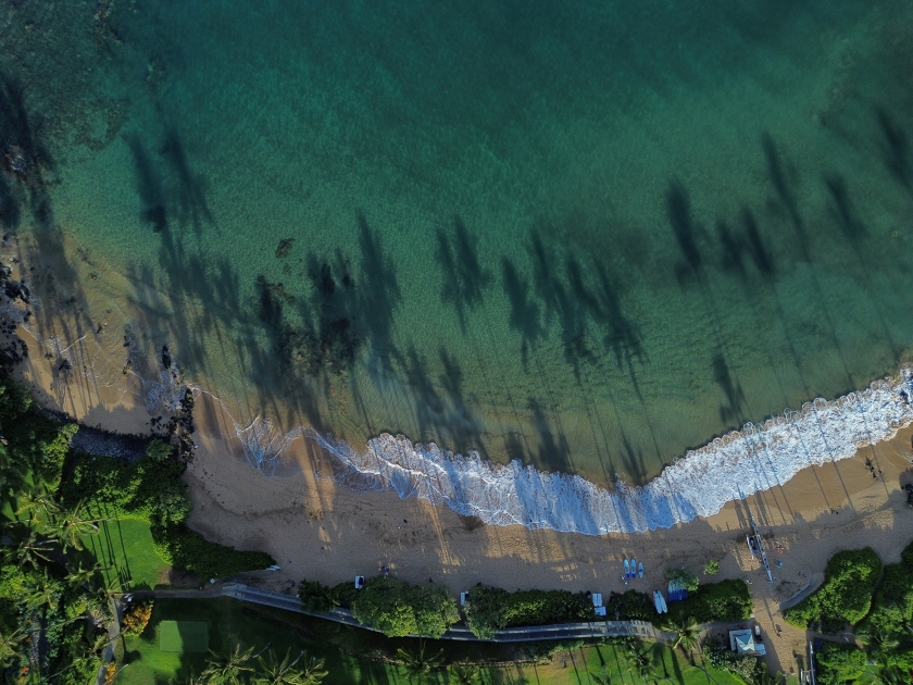 Wailea beach Maui, Hawaii with palm trees in early morning shadow