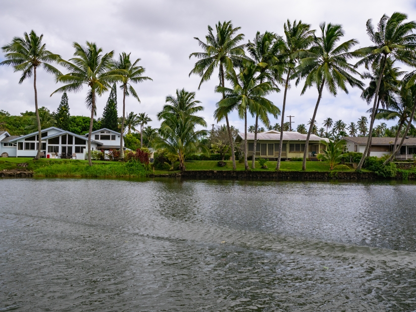 Wailua River Cruise & Grotto Tour takes you on a cruise down the Wailua River to the botanical beauty of Fern Grotto on Kauai, Hawaii.