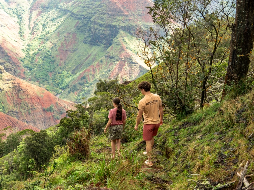 Waimea canyon in Kauai, Hawaii