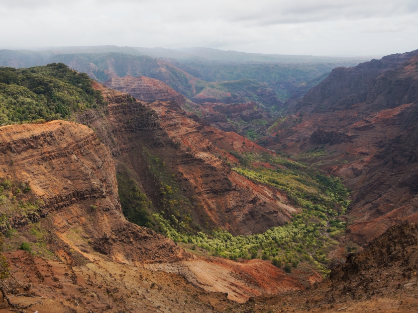 Pu`u Hinahina lookout offers one of the best views into Waimea Canyon on Kauai, Hawai'i