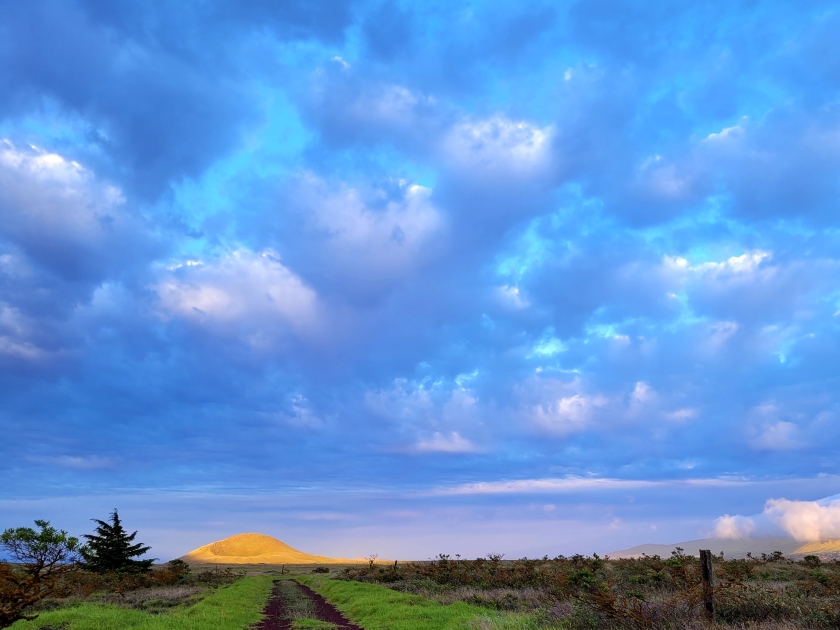 Serene sunrise from Pu'ukapu, Waimea, Hawaii Island looking Kohala Mountain and Holoholo Ku.