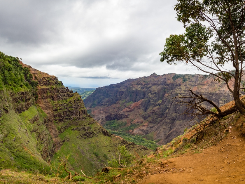 Canyon Trail Hike to Waipo'o Falls, Waimea Canyon State Park, Kauai, Hawaii, USA