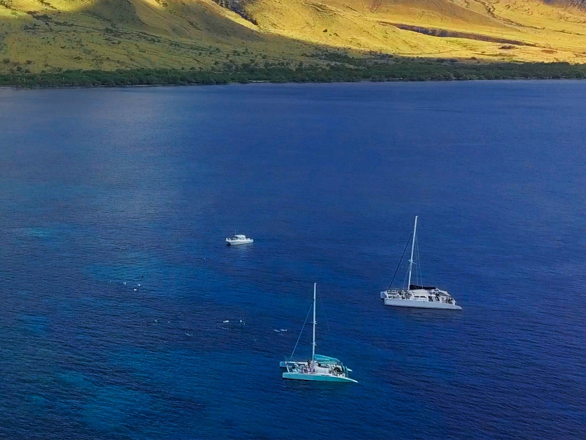 Aerial view of the west coast of Maui with visible coral reef, sailing boats and green mountain on the background. Area of Olowalu, Hawaii