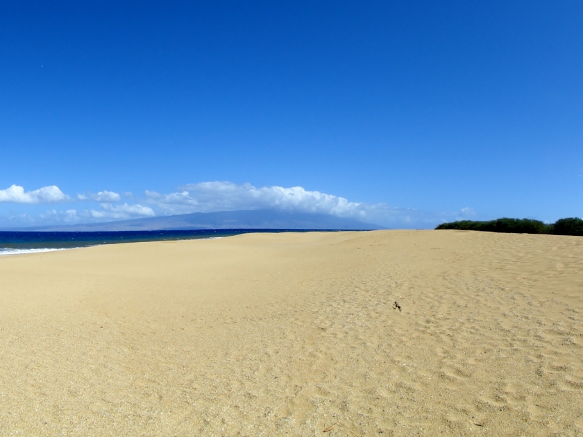 Polihua Beach on a gorgeous day.
