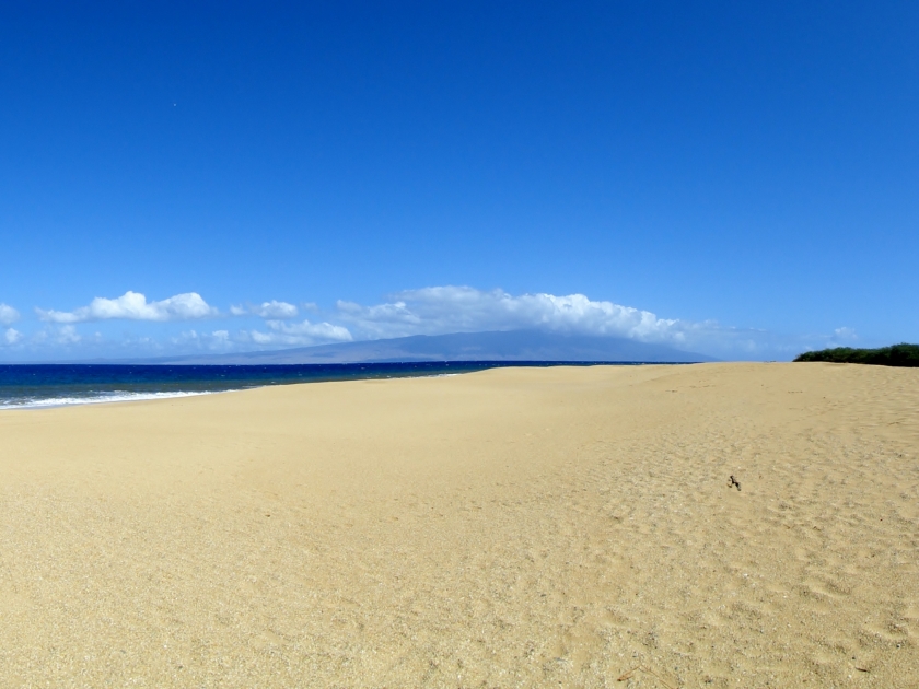 Polihua Beach on a gorgeous day.