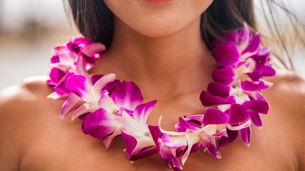 Lei hawaii welcome necklace of fresh orchids flowers garland on woman's neck. Aloha spirit. Hula dancer at luau beach party.