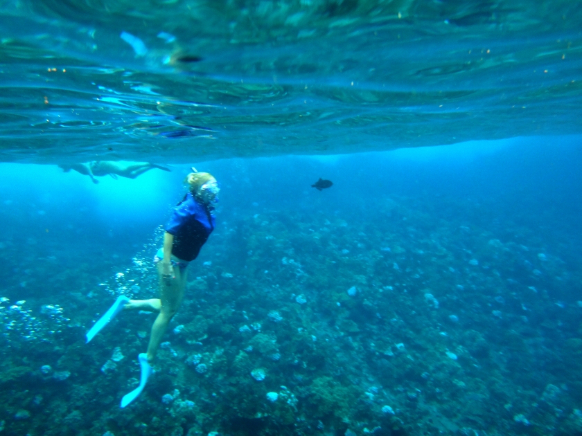 Person snorkeling in Molokini Crater, Maui, Hawaii.