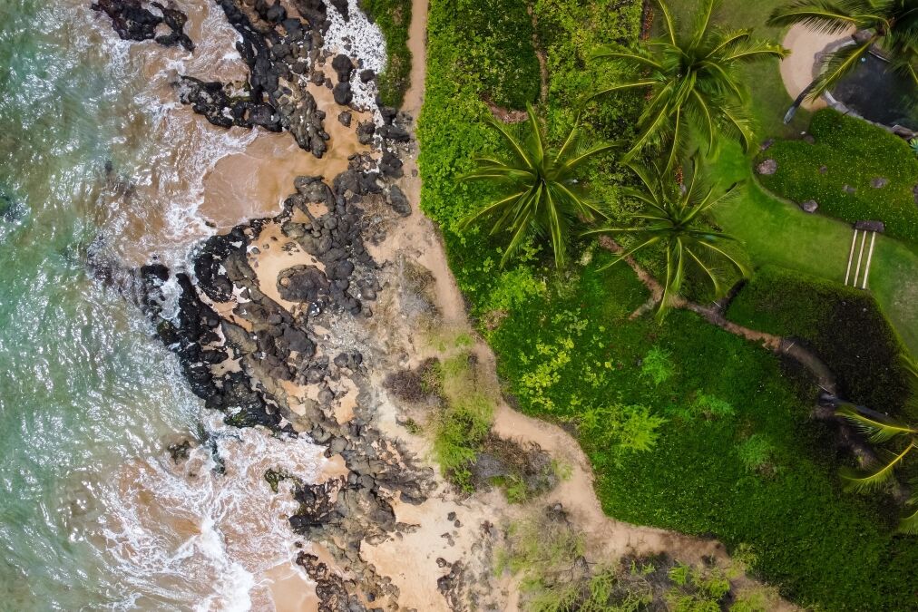 Wailea maui drone aerial shot beach and land palm trees vacation hawaii