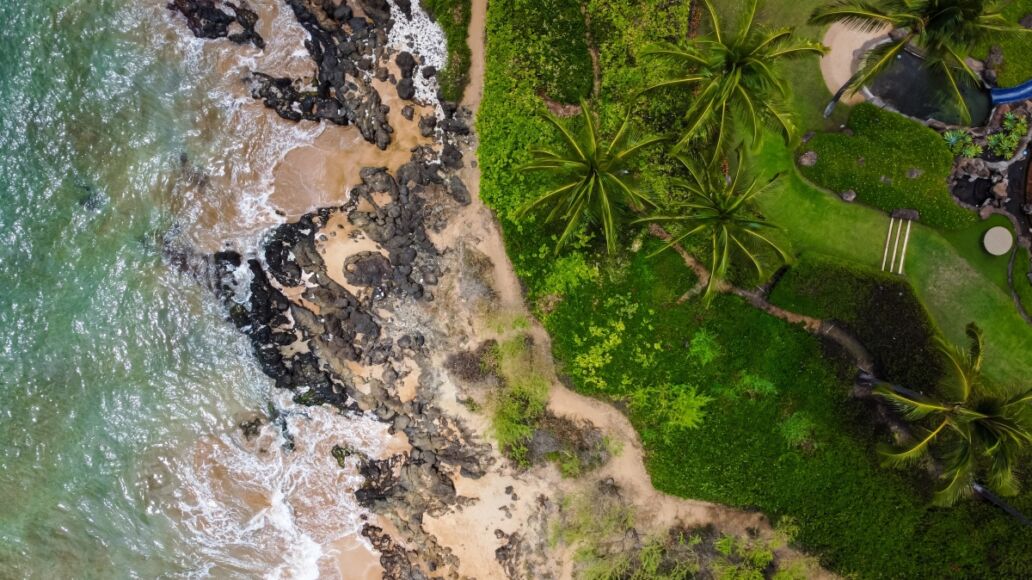 Wailea maui drone aerial shot beach and land palm trees vacation hawaii