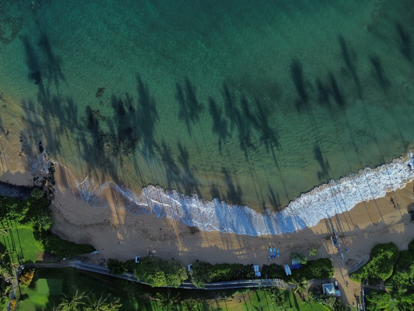 Wailea beach Maui, Hawaii with palm trees in early morning shadow