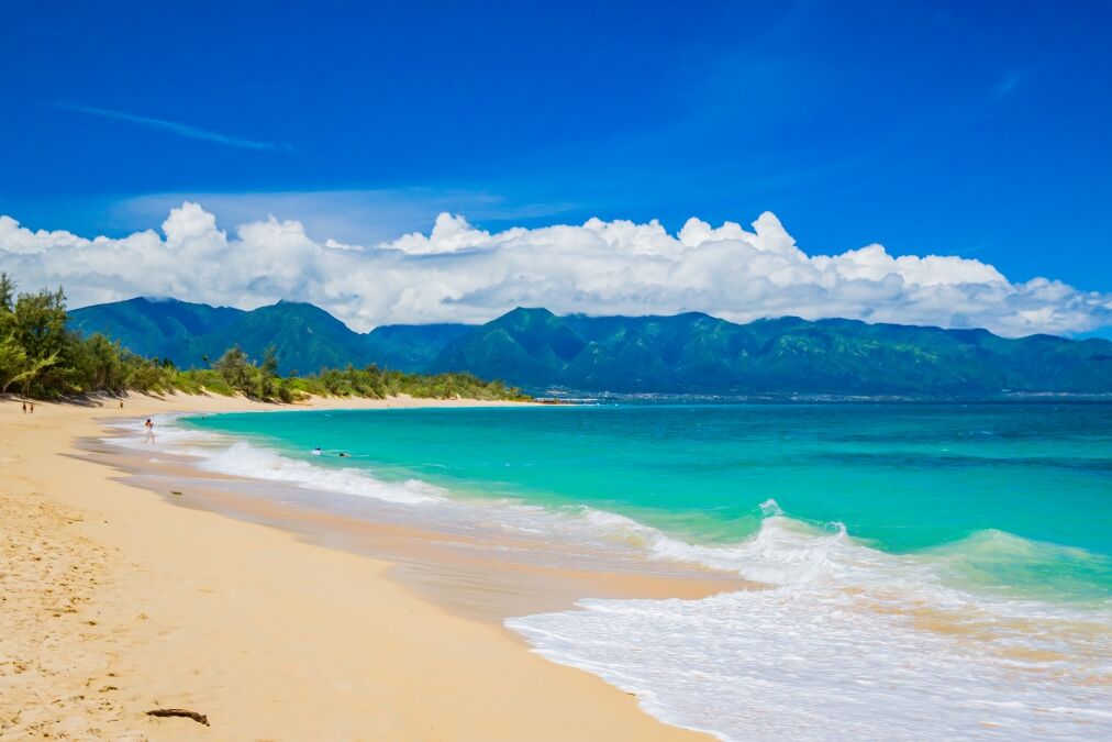 Baldwin Beach Park sunny day. Baldwin Beach Park is a beautiful, long white-sand beach on Maui's North Shore. A favorite with local families