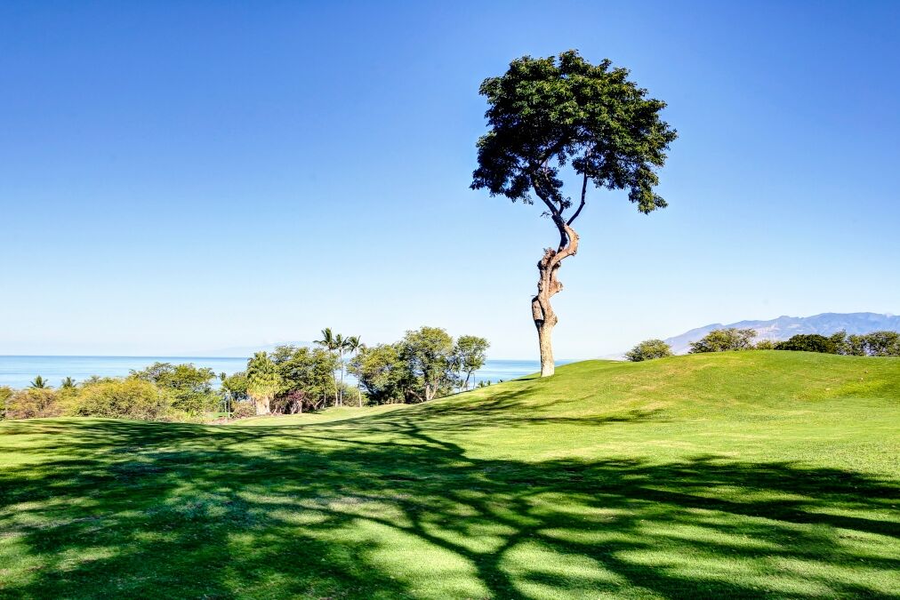 Maui Golf Course