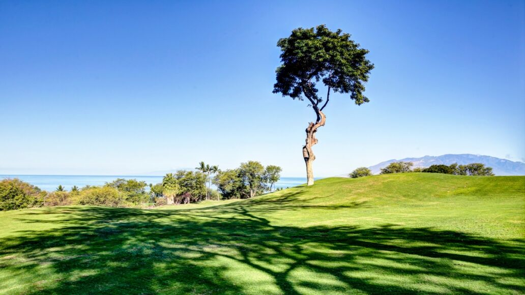 Maui Golf Course