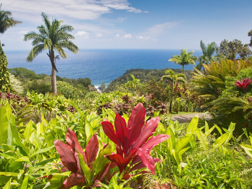 Botanical Garden in Hawaii and the Keopuka Rock Overlook