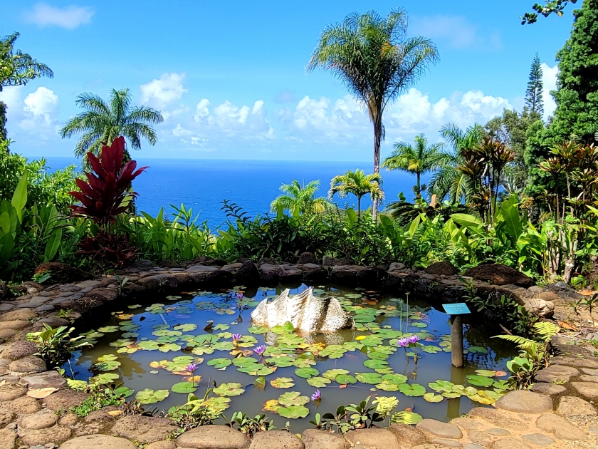 Pool at Garden of Eden Arboretum Botanical Garden