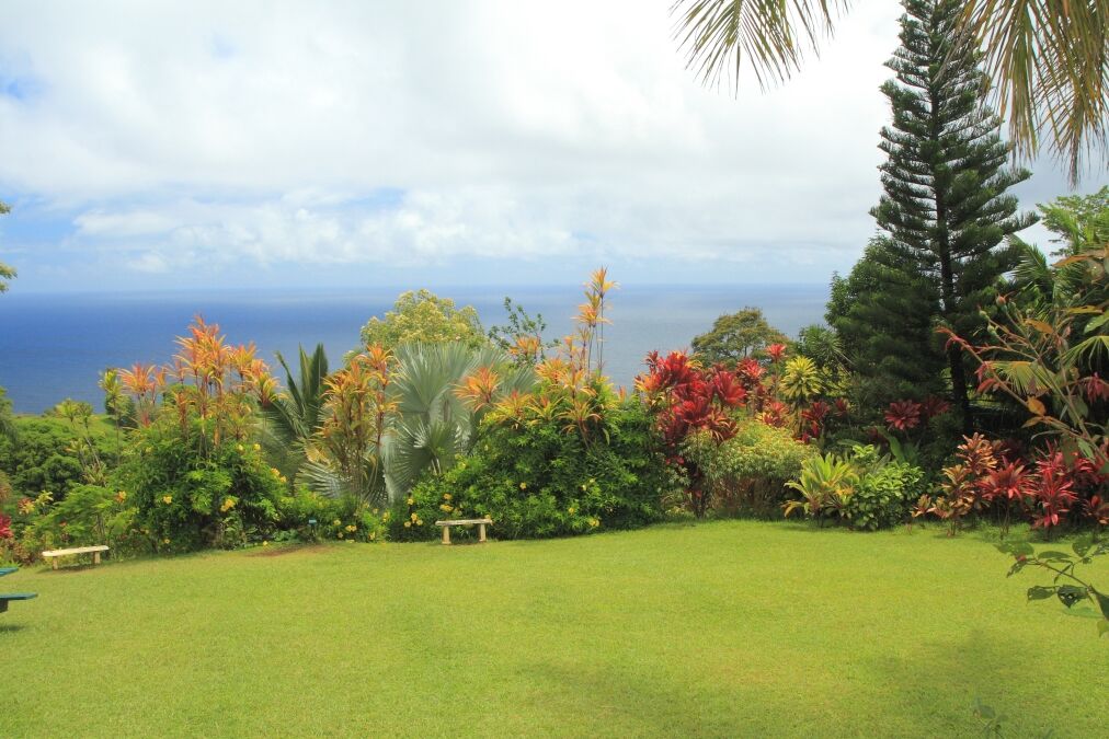 Hawaiian paradise garden by the sea