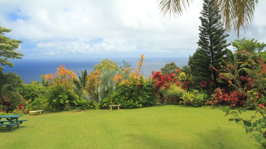 Hawaiian paradise garden by the sea