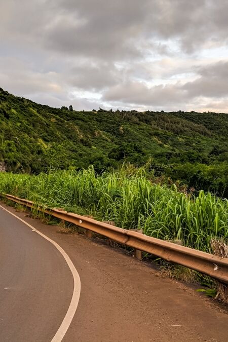 Hana Highway in Maui Hawaii