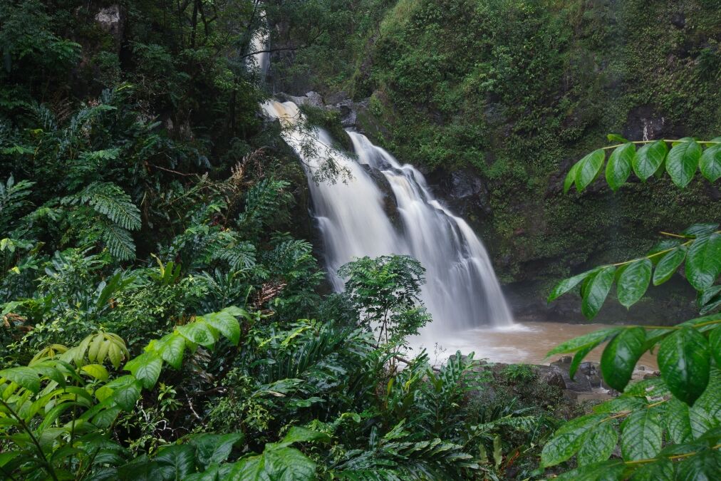 Hanawi Falls, Road to Hana (Maui, HI)