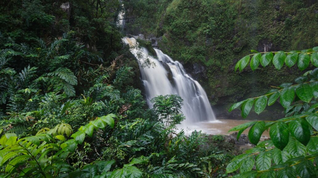 Hanawi Falls, Road to Hana (Maui, HI)