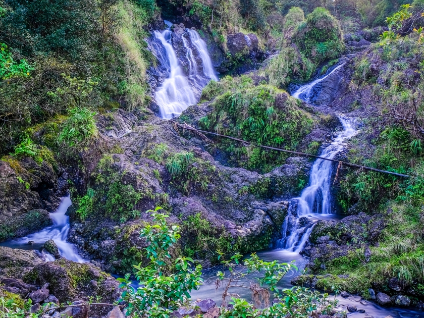 The beautiful Hanawi Falls waterfall on the Road to Hana on Maui, Hawaii, with lush vegetation covering lava rock.