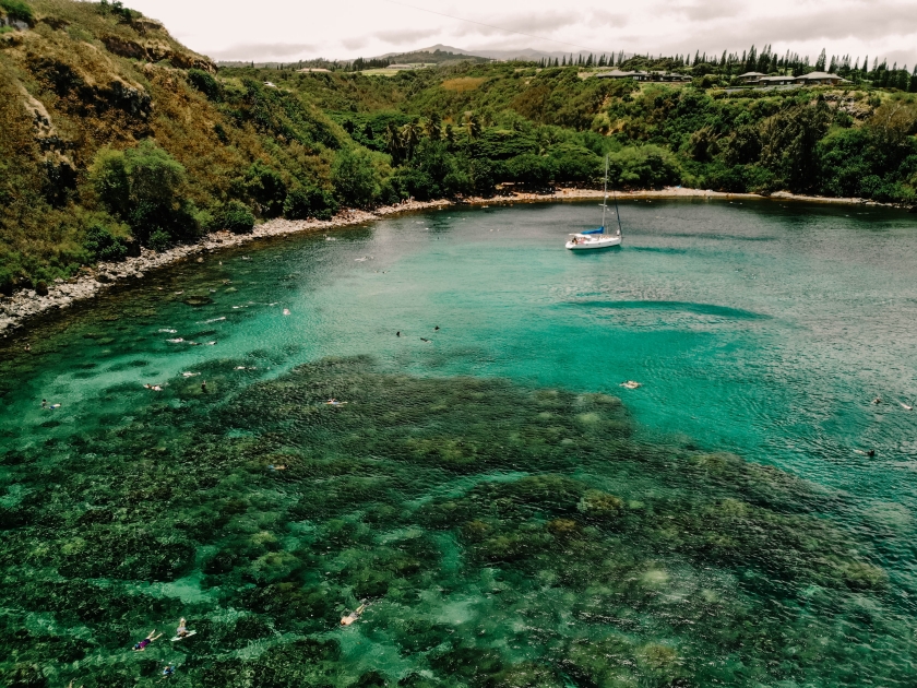 Snorkeling in Honolua Bay on Maui Aerial View