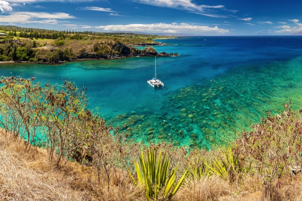 panoramic view of Honolua Bay, Maui, Hawaii.