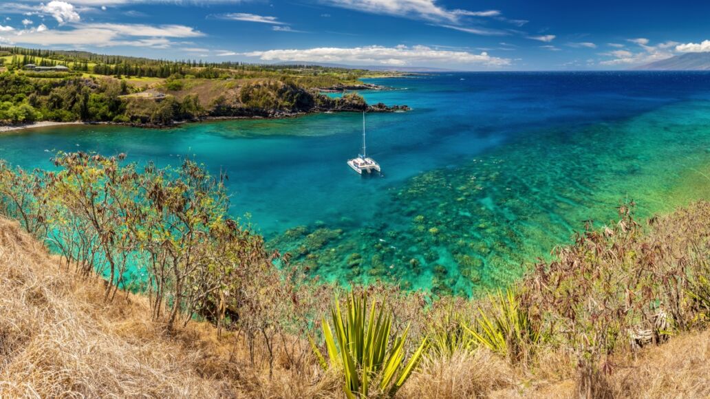 panoramic view of Honolua Bay, Maui, Hawaii.